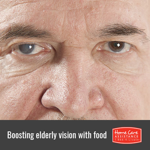 Foods That Improve Senior Eyesight