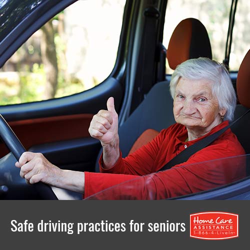 How Seniors Can Drive Safely in Tampa Bay, FL