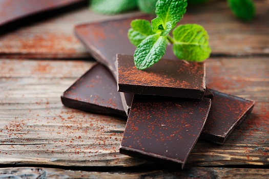 Benefits of Dark Chocolate for Older Adults in Tampa Bay, FL