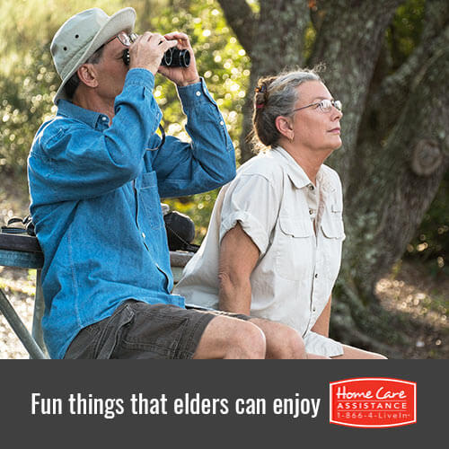 Events that the Elderly Can Enjoy in Tampa Bay, FL
