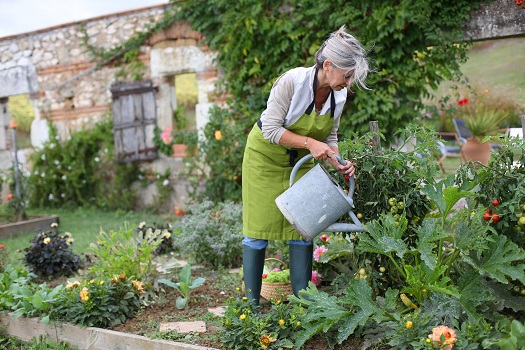 Benefits of Gardening for Aging Adults in Tampa Bay, FL