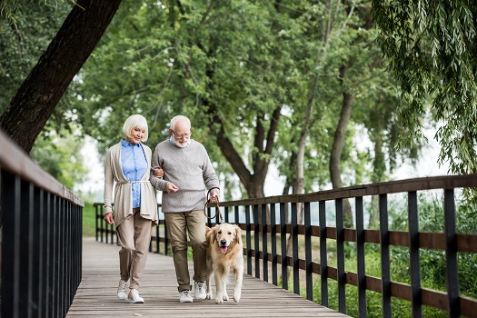 Healthy Habits Play a Large Role in Senior Stroke Prevention in Tampa Bay, FL