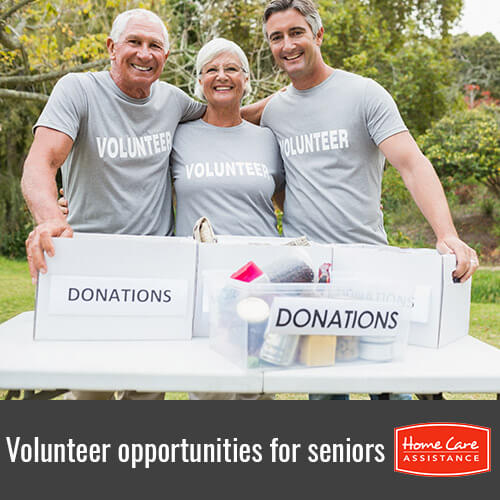 Five Opportunities Where Seniors Can Volunteer in Tampa Bay, FL