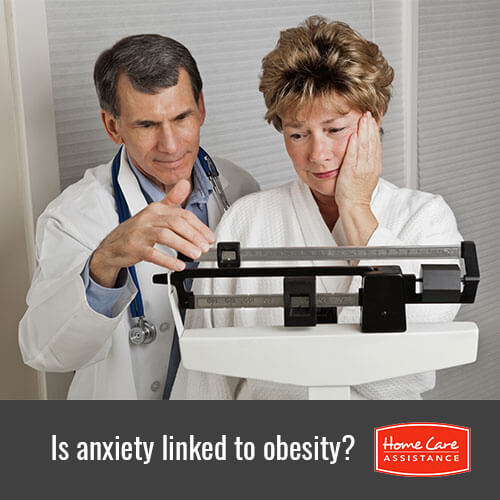 How Anxiety and Obesity Can Be Linked in Tampa Bay, FL